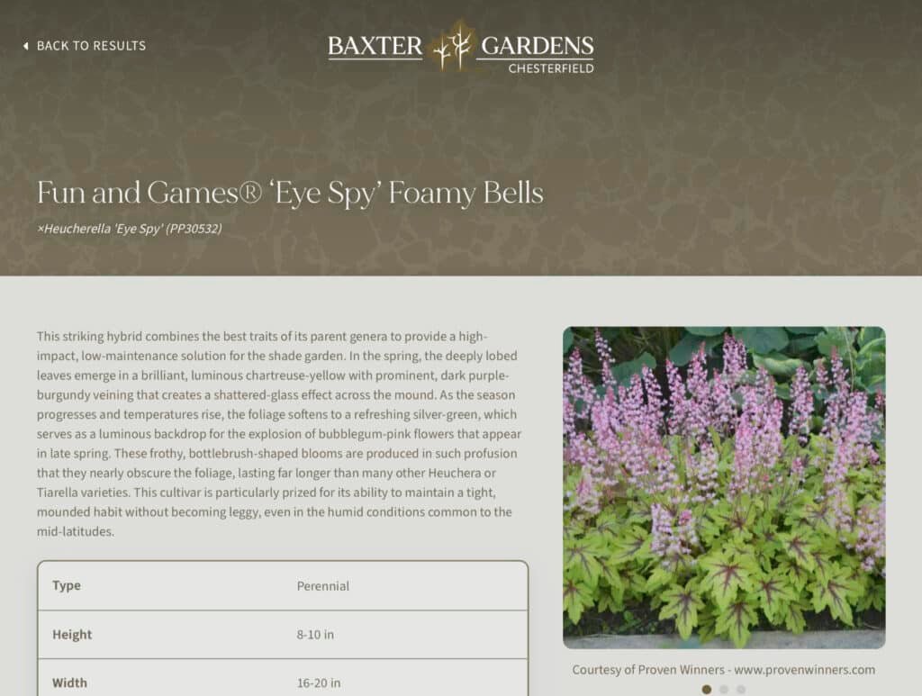 Baxter Gardens plant detail page for Fun and Games ‘Eye Spy’ Foamy Bells, showing a description, a photo of the pink-flowering plant, and a specs table listing type, height, and width.